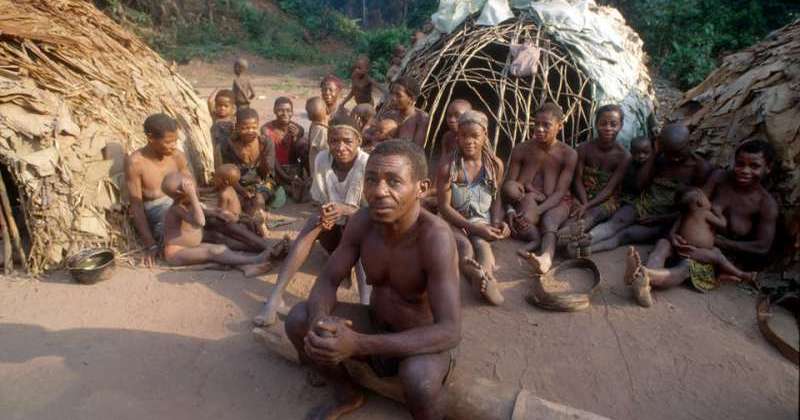 Article : « Retourner aux sources », qu&rsquo;est-ce que ça veut dire?