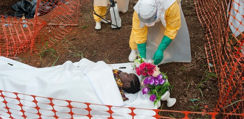 Victime d'Ebola? ou bien de l'inaction des africains? Crédit photo: e-healthmag.com