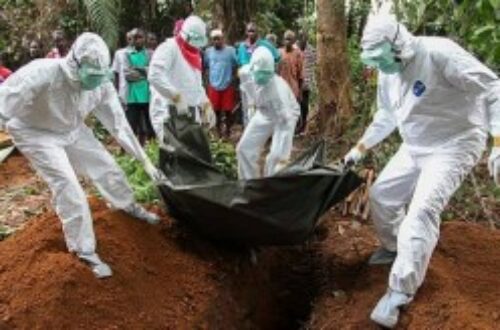 Article : Ebola : missile à tête chercheuse ?